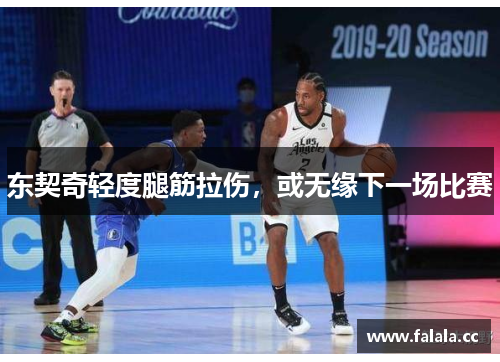 东契奇轻度腿筋拉伤，或无缘下一场比赛